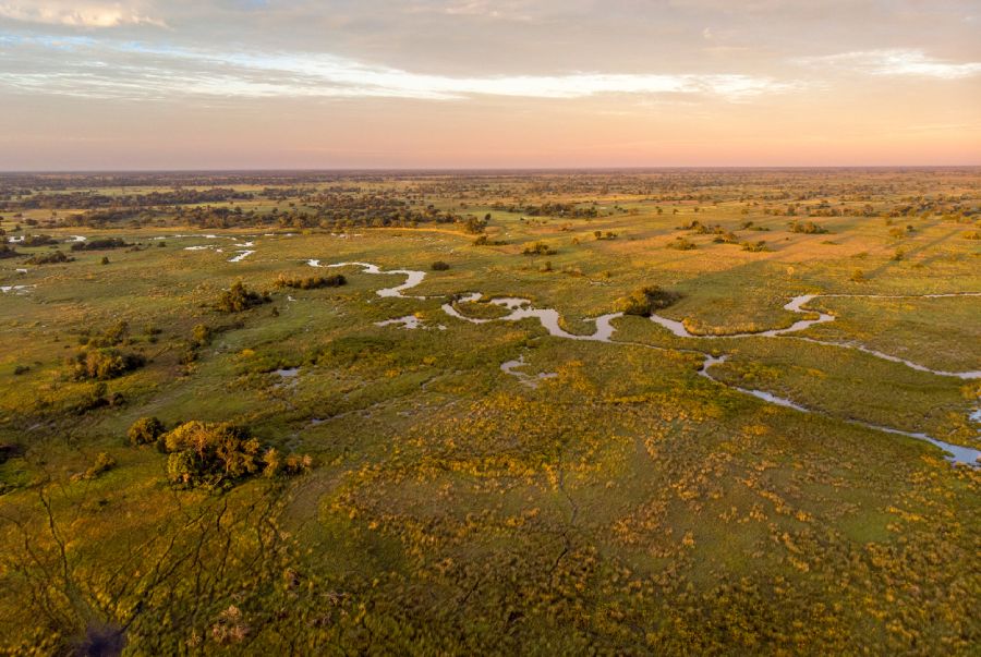 Wet lands