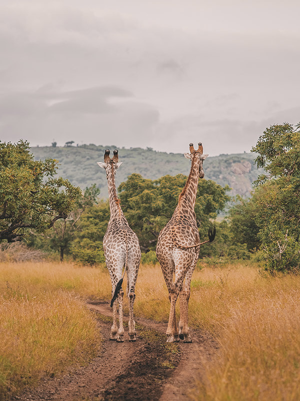 South Africa